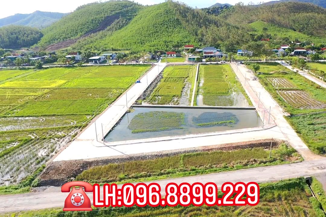 Đất đấu giá Xóm Yên Viên, xã Bình Minh 230m² giá 1-2 tỷ - Cơ hội đầu tư hấp dẫn!