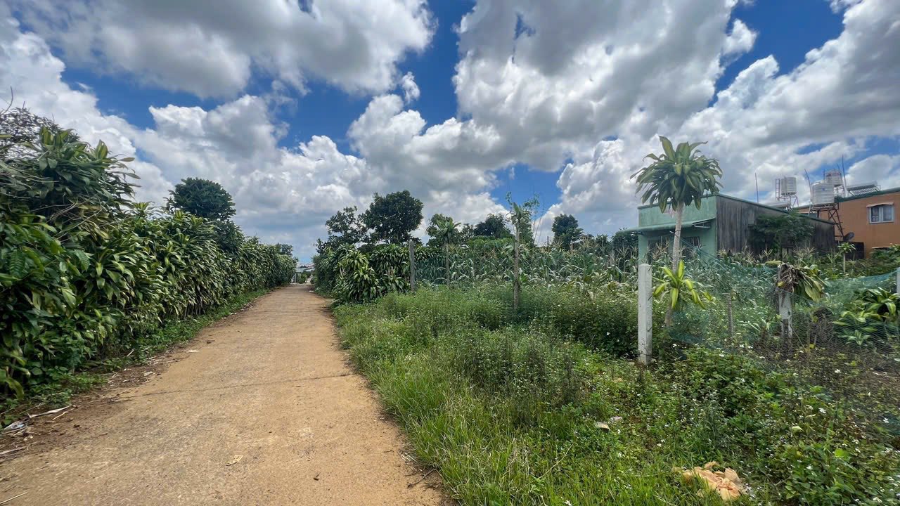 Đất nền Lộc Châu Bảo Lộc 279m² giá 1.8 tỷ - Sổ đỏ chính chủ, vị trí đẹp!