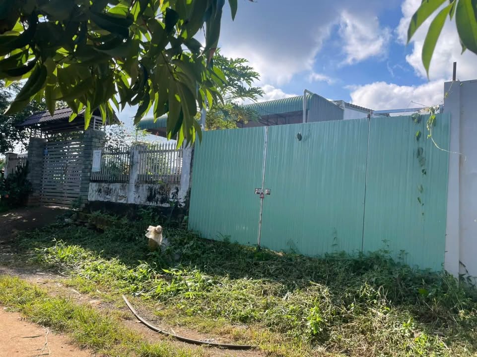 Nhà cấp 4 hẻm 442/29 Y Moan 360m² giá 1.9 tỷ - Sổ chung chính chủ!