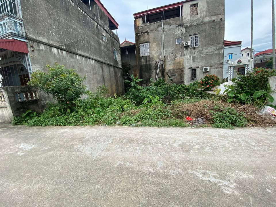 Đất nền Tử Dương, xã Vân Đình, 116m² - Cơ hội đầu tư sinh lời hấp dẫn!