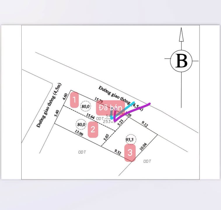 Đất nền Phượng Lâu, Việt Trì 86m² giá 1.6 tỷ - Tiềm năng phát triển cao!