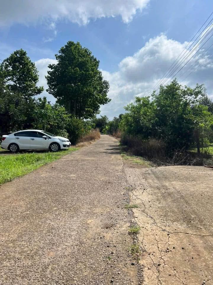 Đất thổ cư 120m² Ấp 1, Xã Sông Nhạn, Cẩm Mỹ - Giá chỉ 1.8 tỷ VND!