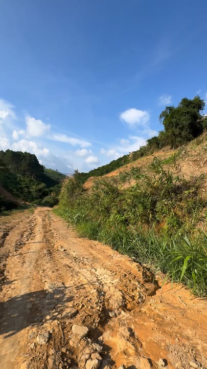 Đất nền 1600m² xã Phú Sơn, Lâm Hà chỉ 350 triệu - Cơ hội đầu tư tuyệt vời!