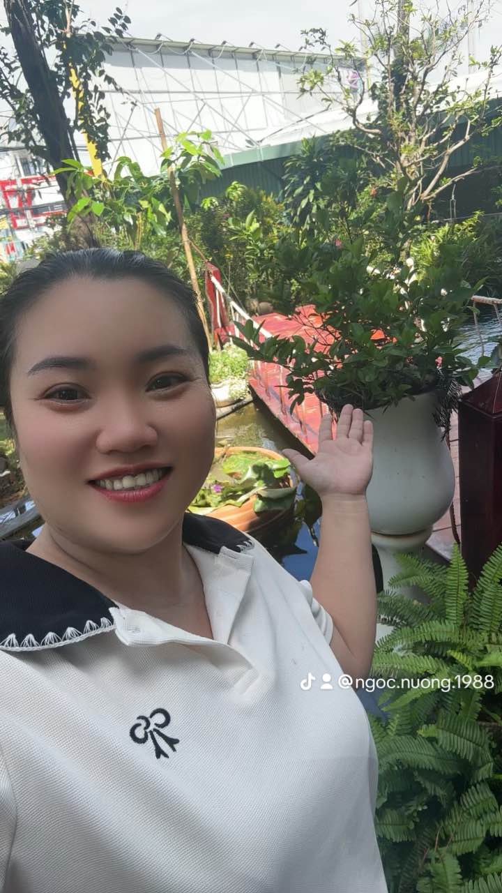 Đất nền 89 Phước Thắng 84m² chỉ 500 triệu - Cơ hội đầu tư hấp dẫn!