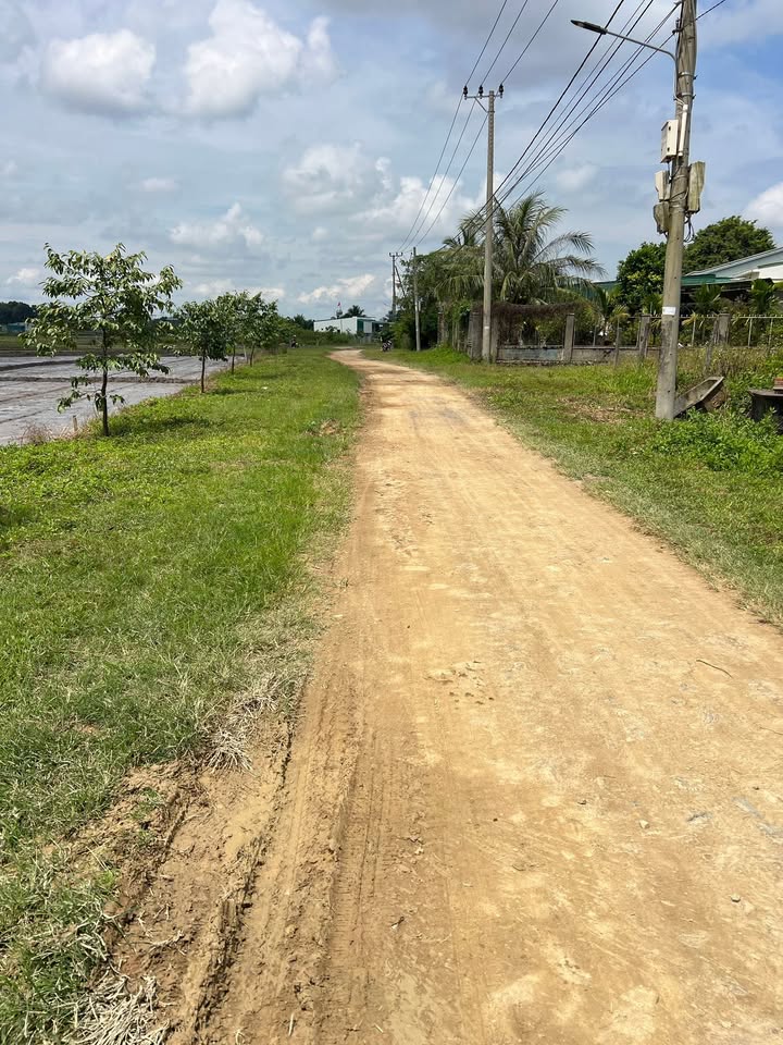 Đất mặt tiền đường Đinh Tiên Hoàng, Cư Jút, 870m² giá 9.93 tỷ - Đầu tư sinh lời cực tốt!