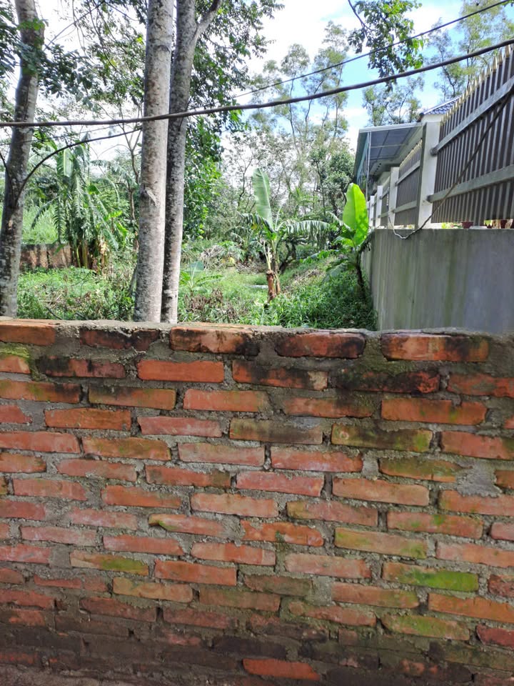 Đất nền Đông Mỹ – Đông Hiếu 210m² giá thỏa thuận - Đầu tư sinh lời ngay!