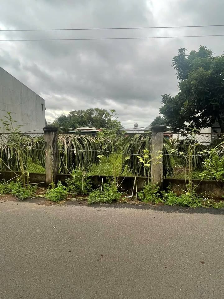 Đất nền xã Hòa Hưng, huyện Xuyên Mộc 390m² - Giá chỉ 1 tỷ VND, sổ đỏ chính chủ!