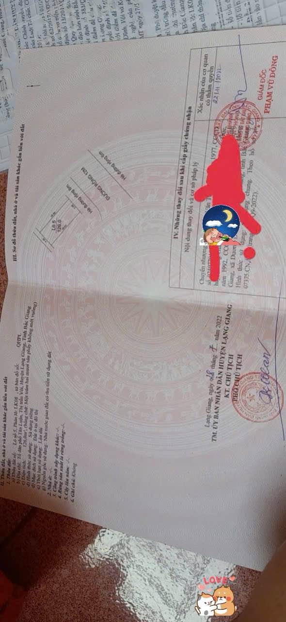 Đất nền Tân Luận, Lạng Giang 126m² giá 2.4 tỷ - Đầu tư sinh lời ngay!