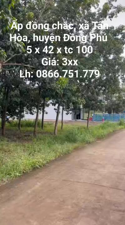 Đất thổ cư 210m² tại Ấp Đồng Chắc, Tân Hòa chỉ từ 300 triệu - Sổ đỏ chính chủ!