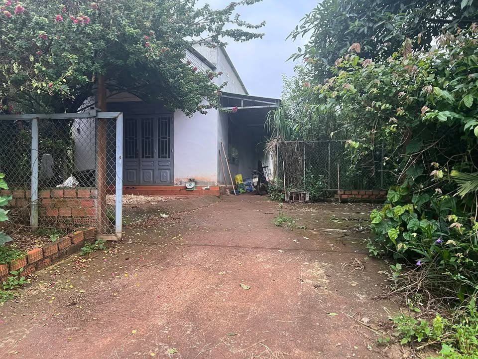 Lô đất Farm tại Nam Ban Lâm Hà 4500m² giá 2.6 tỷ - Cơ hội đầu tư hiếm có!