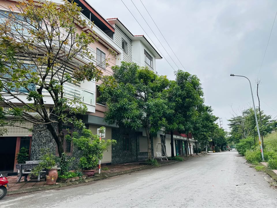 Đất ở đô thị Nam Hồng, Từ Sơn, Bắc Ninh 122m² - Chính chủ bán, giá chỉ 4.88 tỷ!