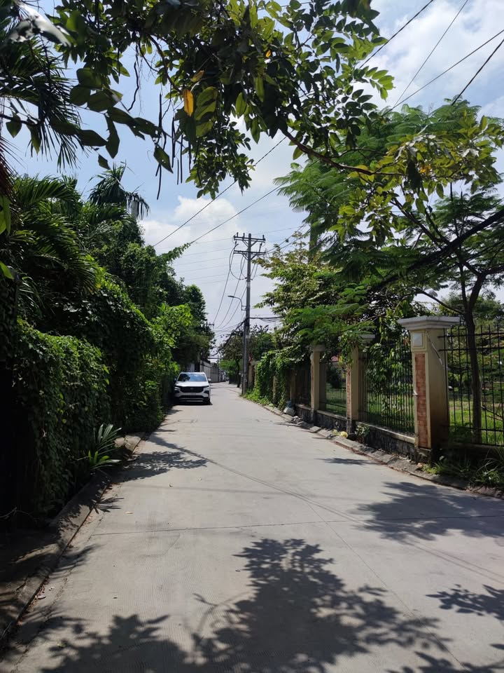 Dãy trọ 12 phòng tại chợ Vườn Lài, quận 12 - Diện tích 200m², giá chỉ 9.6 tỷ!