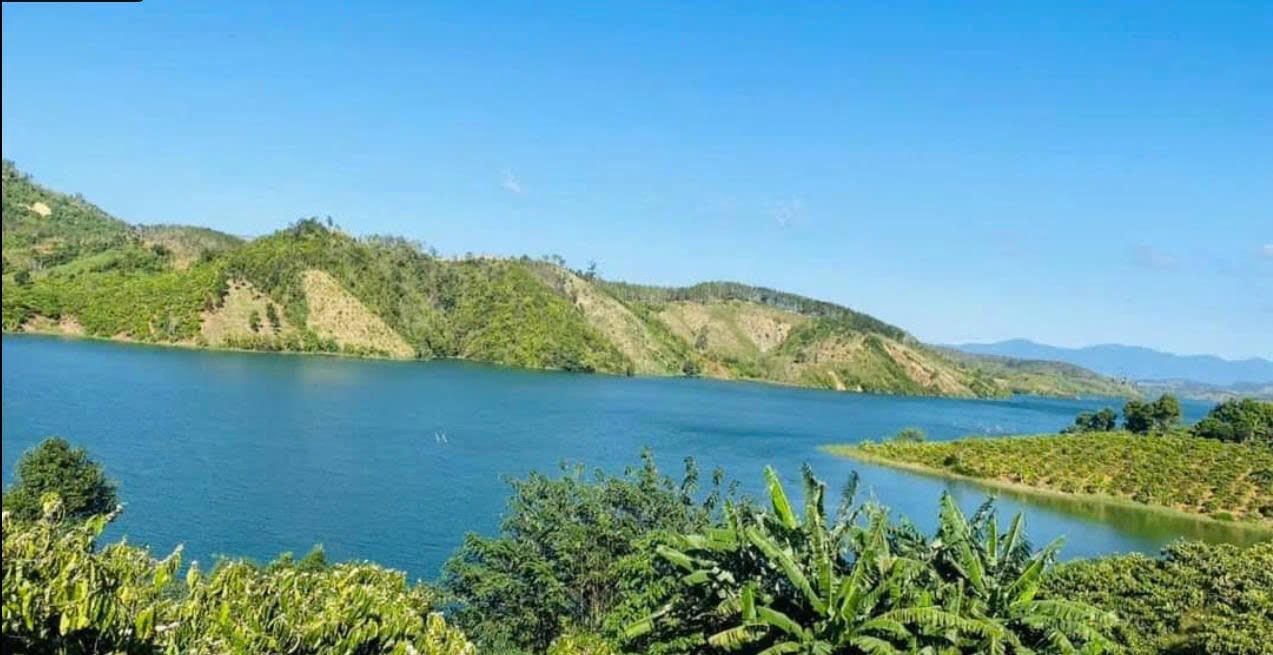 Đất nền 1000m² tại xã Liên Hà, Lâm Hà - Giá chỉ 950 triệu - Cơ hội đầu tư hấp dẫn!