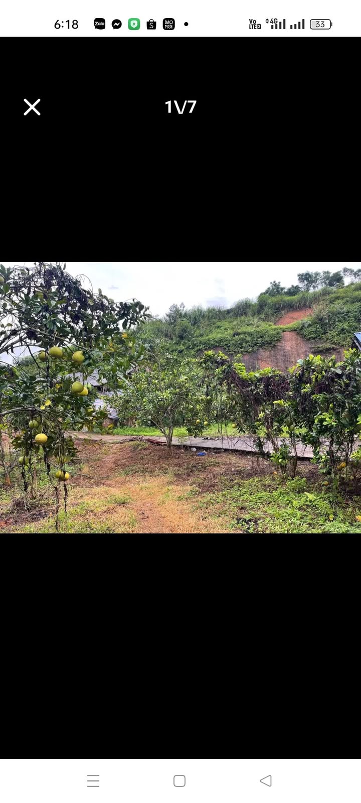 Đất nông nghiệp Tân Sơn 1311m² giá 500 triệu - Cơ hội đầu tư tuyệt vời!