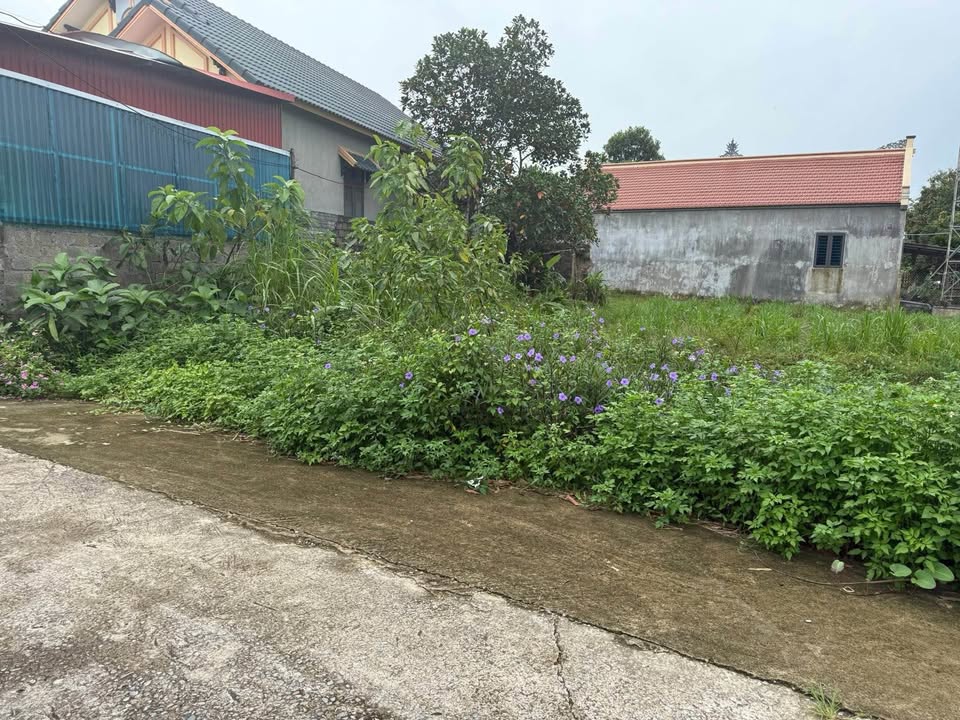 Đất nở hậu tại thôn Yên Thành, xã Yên Hùng 173m² giá thỏa thuận - Đầu tư sinh lời ngay!