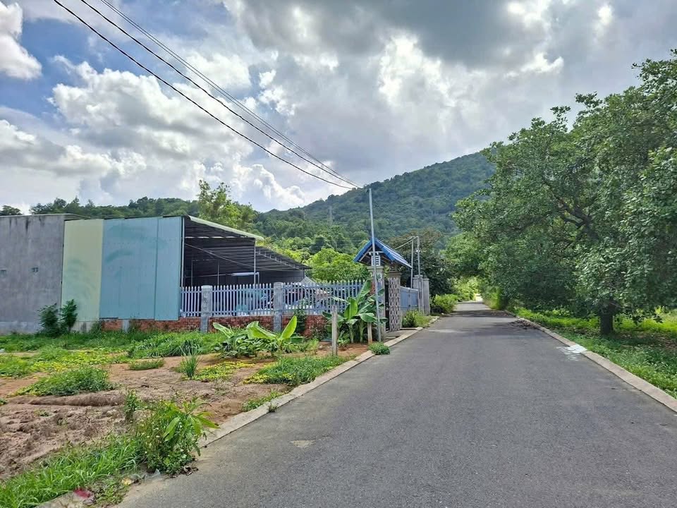 Đất thổ cư đường Hoàng Đình Thương, Xuân Lộc 180m² giá 1.7 tỷ - Tiềm năng đầu tư lớn!