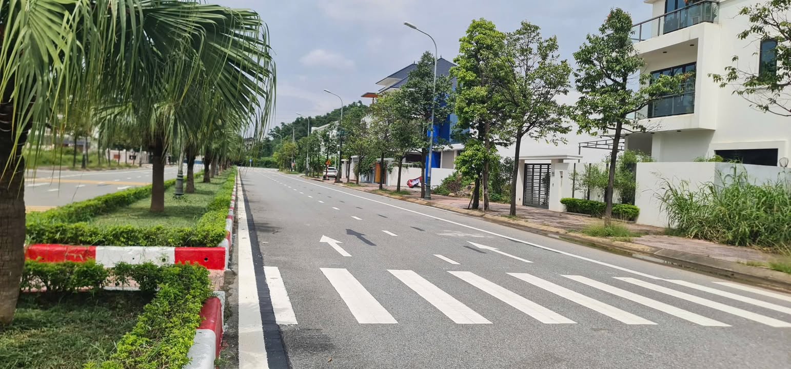 Bán đất biệt thự KĐT Nam Vĩnh Yên 260m² - Mặt đường 33m nội khu, cơ hội đầu tư tuyệt vời!