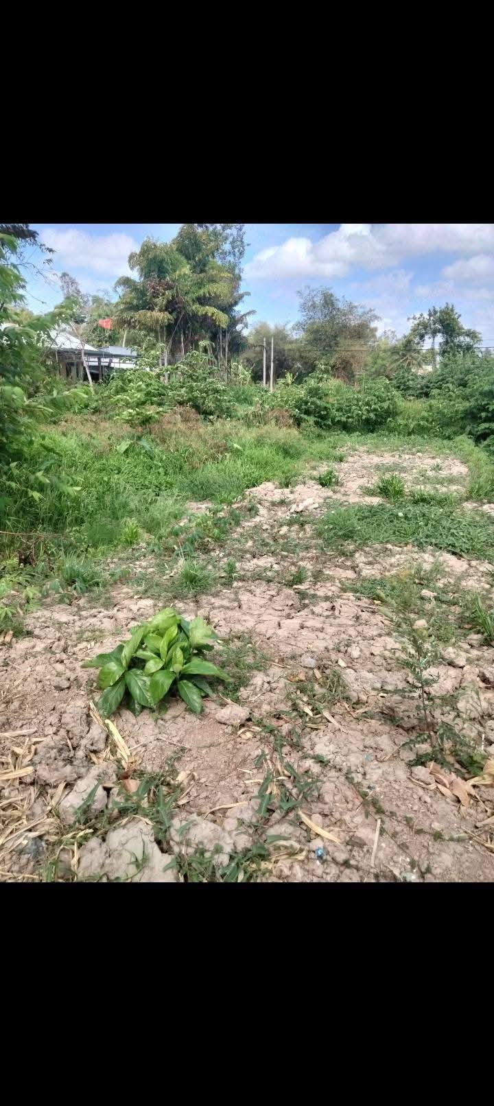 Đất nền phân lô Tân Long, Hậu Giang 713m² giá 1.4 tỷ - Cơ hội đầu tư tuyệt vời!