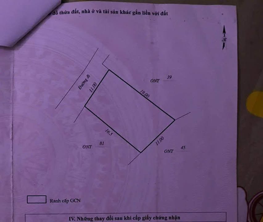 Đất thổ cư 187m² tại Giang Nam, Tuy Phước chỉ 700 triệu - Cơ hội đầu tư hấp dẫn!