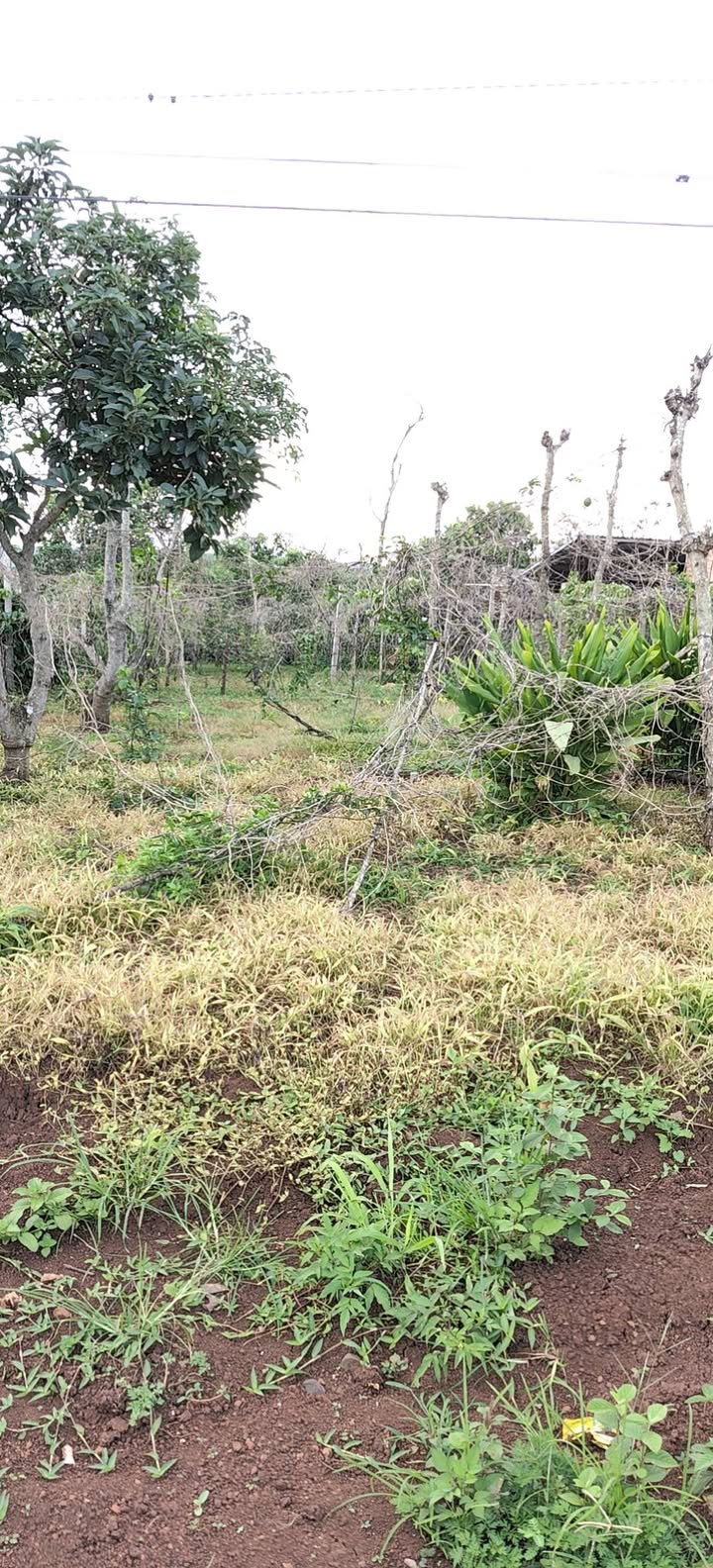 Đất nền 300m² tại Đliza, Krông Năng - Giá 2 tỷ, đầu tư sinh lời ngay!