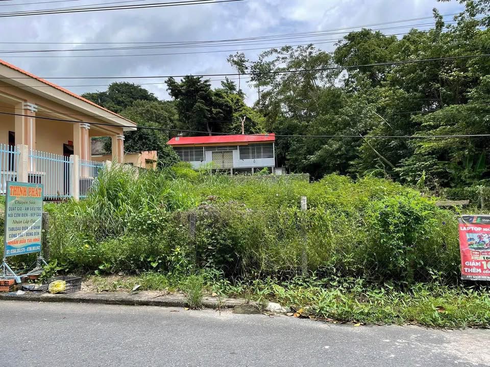 Đất nền Trần Nguyên Hãn, Thoại Sơn 390m² giá 1.8 tỷ - Hướng Tây Nam, thương lượng ngay!