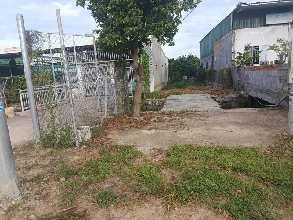 Đất mặt tiền đường 703 Phước Dân 93m² giá 930 triệu - Thương lượng nhẹ!