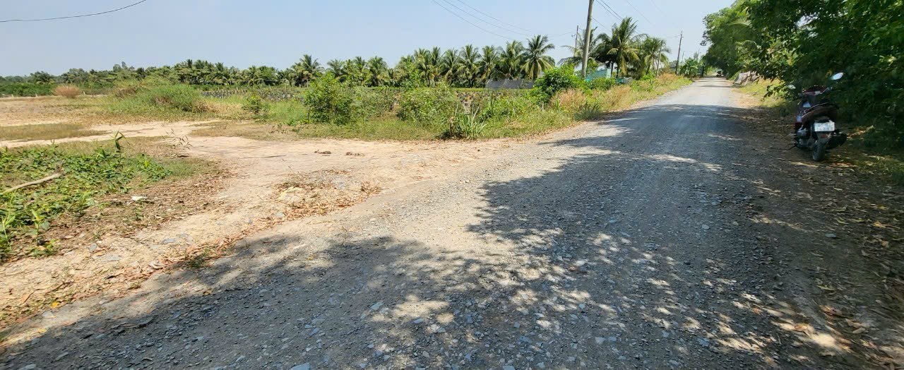 Đất thổ vườn mặt tiền kênh 4, xã Tân Thành, 2000m² giá 3.3 tỷ - Sổ hồng chính chủ!