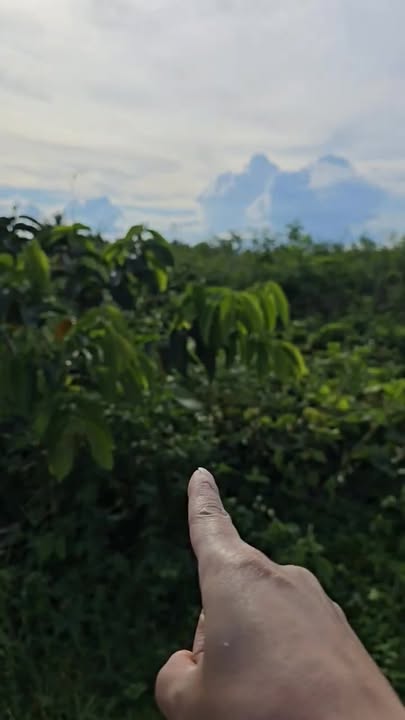 Đất nền Đăk Hà 270m² giá chỉ 600 triệu - Đường bê tông rộng rãi!