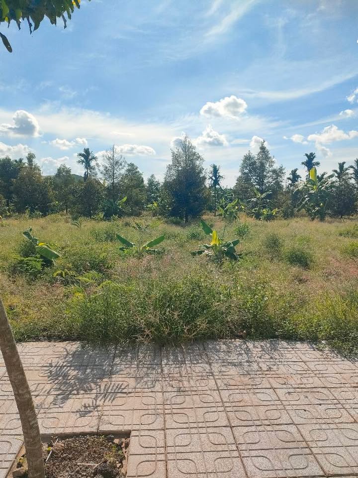 Đất nền Bàu Hàm, Trảng Bom, 175m² giá 599 triệu - Sổ đỏ chính chủ, thổ cư hoàn chỉnh!