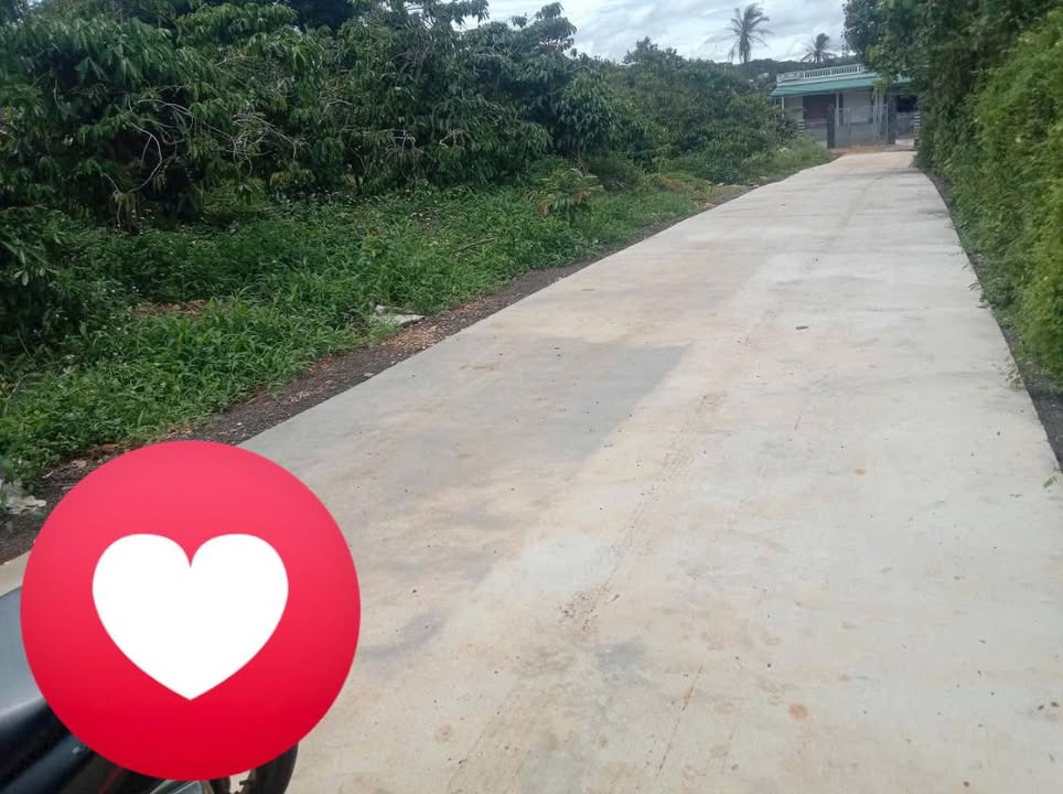 Đất thổ cư 196m² xã Ea Drăng, giá chỉ 10.92 tỷ - Cơ hội đầu tư tuyệt vời!