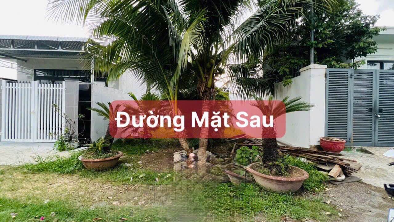 Đất Diên Toàn 262m² giá 2.6 tỷ - Sổ đỏ chính chủ, xây nhà vườn lý tưởng!