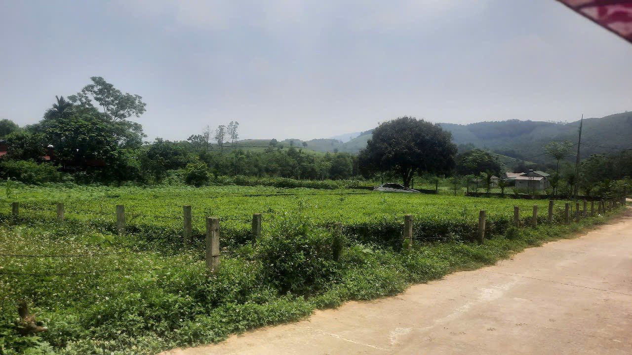 Đất nền 1500m² khu phố 7, xã Ngọc Đồng, huyện Yên Lập - Giá thỏa thuận hấp dẫn!