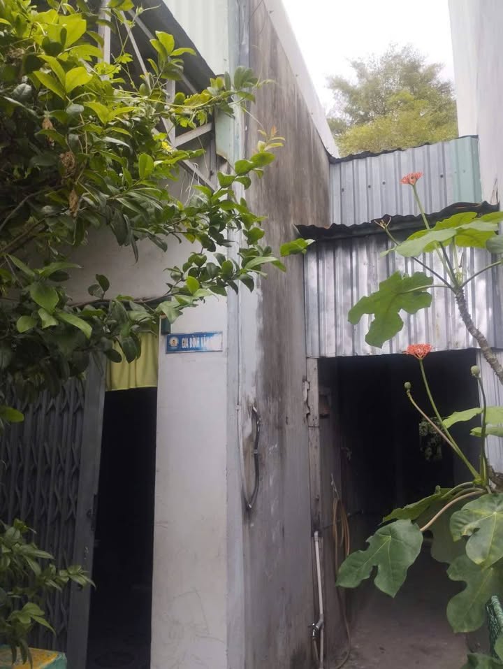 Nhà cấp 4 đường Gòi Bé, Mỹ Thới, Long Xuyên 50m² giá 850 triệu - Pháp lý rõ ràng, chính chủ!