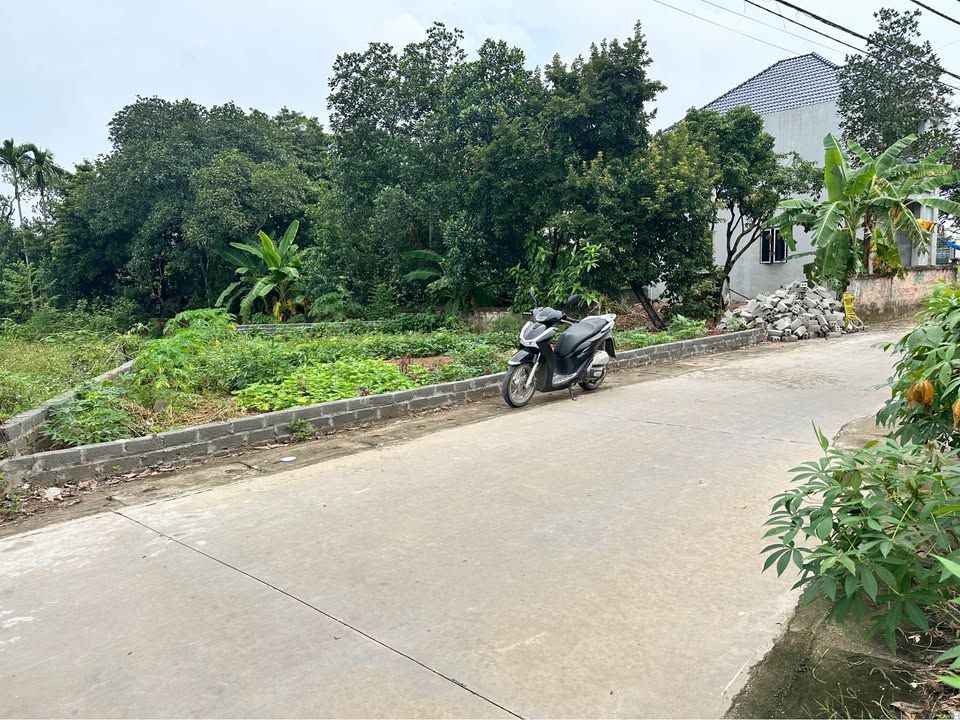 Đất ở đô thị Xuân Khanh - Sơn Tây 128m² giá 1 tỷ - Đầu tư lý tưởng!