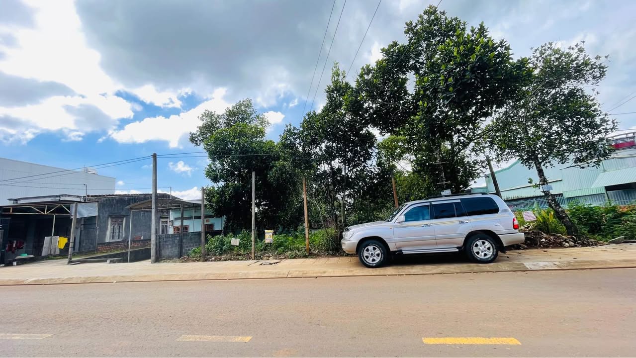 Đất mặt tiền Phạm Ngọc Thạch, Pleiku 1640m² giá 8 tỷ - Thương lượng linh hoạt!