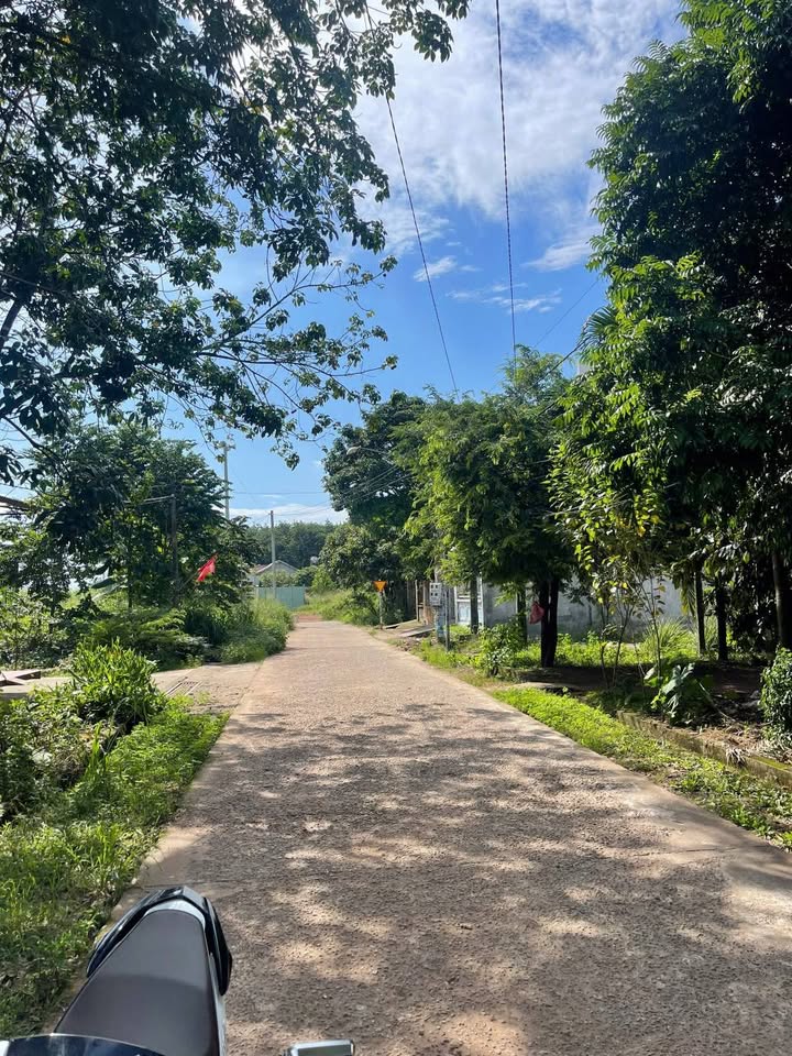 Đất nền hẻm 129 Trường Chinh 484.5m² giá 5 tỷ - Cơ hội đầu tư hấp dẫn!