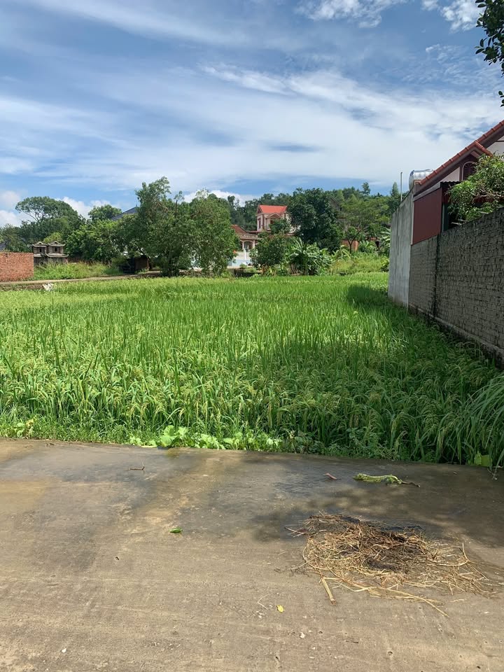 Bán đất tại Lão Hộ, Yên Dũng, 125m² - Đường thông thoáng, tiện ích đầy đủ!