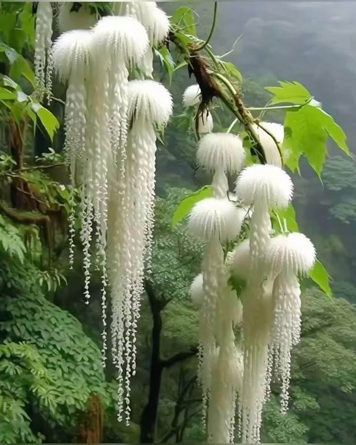 Nhà 2 Tầng Đà Nẵng 98.4m² giá 13.7 tỷ - Sát Bãi Tắm Mỹ Khê!