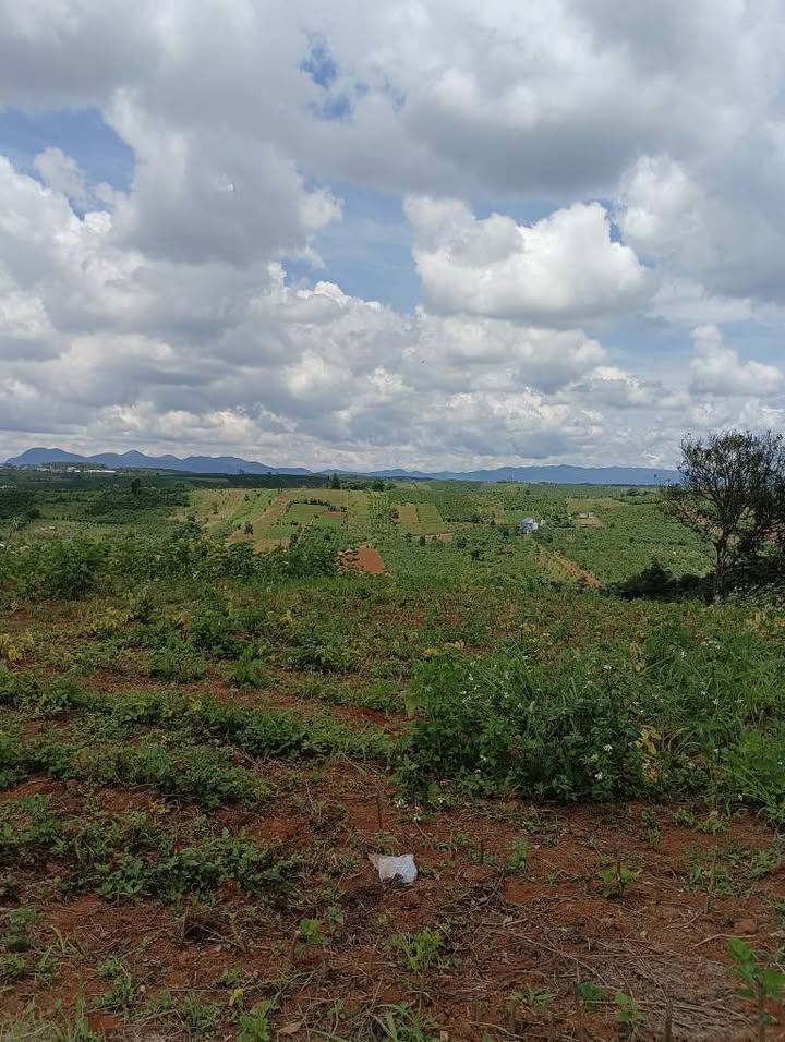 Đất nền phường 2, TP. Bảo Lộc 3.800m² giá chỉ 2 tỷ - Cơ hội đầu tư hấp dẫn!