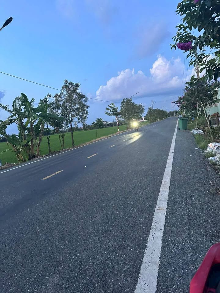 Đất lúa 6400m² tại Đức Tân, Tân Trụ giá 2.6 tỷ - Cơ hội đầu tư hấp dẫn!