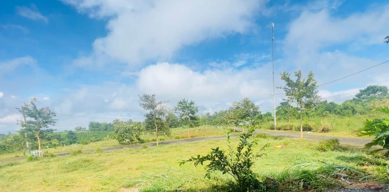 Đất nền biệt thự nghỉ dưỡng Bảo Lộc 425m² - Sát thác Đambri, giá thỏa thuận!