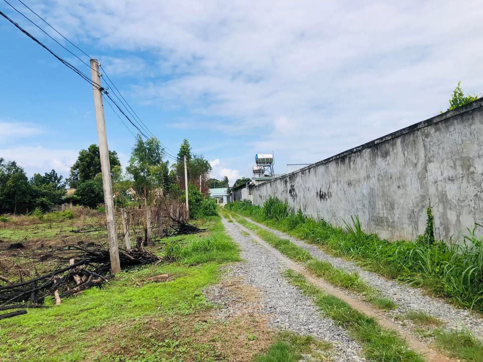 Đất nền Tân An, La Gi 428m² giá 1.8 tỷ - Đầu tư sinh lời tuyệt vời!