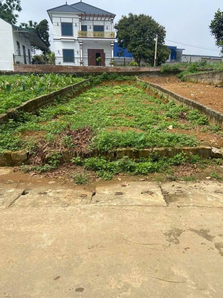 Đất thổ cư 124,8m² tại thôn Yên Thái, Quốc Oai - Khu dân trí cao, giá chỉ 2 tỷ!