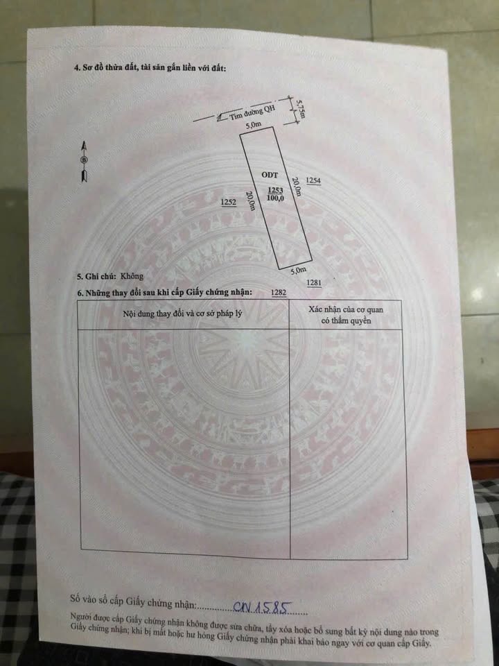 Lô đất chính chủ phường Đông Hải, 100m² giá 3.95 tỷ - Tiềm năng sinh lời cao!