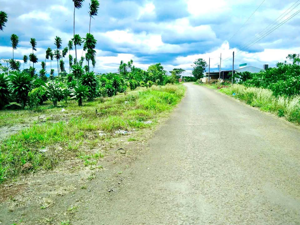 Đất nông nghiệp 9,6 xào tại Lộc Ngãi, Bảo Lộc - Đầu tư sinh lời ngay!