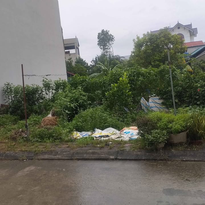 Đất nền xóm Nội Đạo Ngạn, xã Quảng Bị 70m² giá 3.64 tỷ - Sổ đỏ chính chủ!