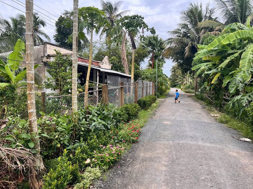 Đất nền thổ cư 300m² tại Long Hưng, Mỹ Tú - Giá 520 triệu, Hỗ trợ vay 500 triệu!