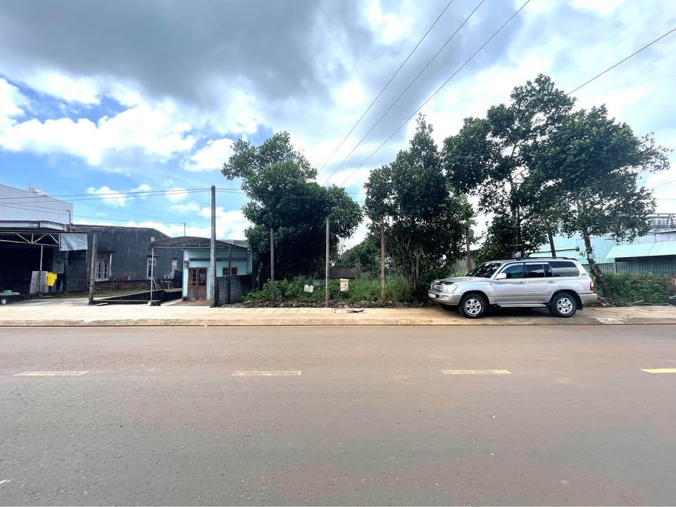 Đất thổ cư mặt tiền Phạm Ngọc Thạch, Pleiku 1640m² giá 8 tỷ - Vị trí đắc địa!