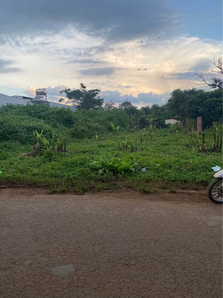 Đất mặt tiền Lý Chính Thắng, An Phú, Pleiku 302.4m² giá chỉ 900 triệu - Cơ hội đầu tư tuyệt vời!