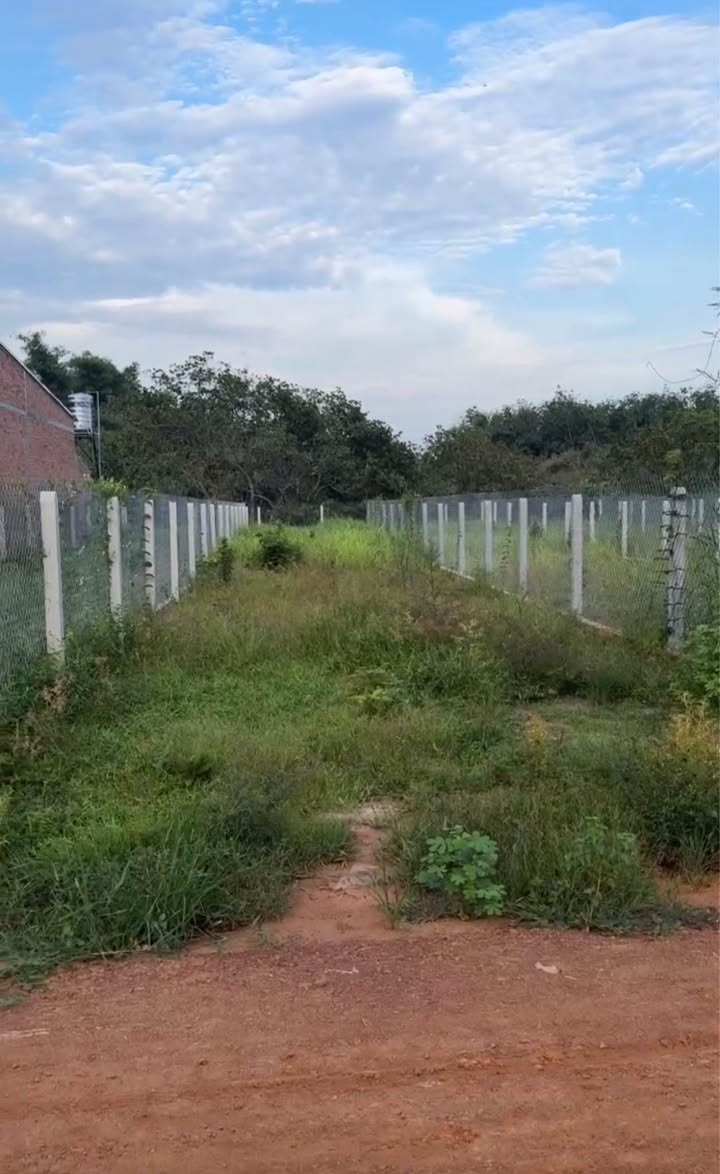 Đất nền Long Chữ, Bến Cầu, Tây Ninh 210m² giá 320 triệu - Tiện ích đầy đủ, sẵn sàng đầu tư!